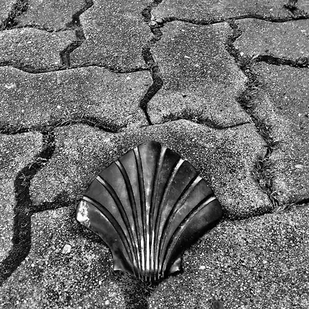 アパート Jasmin 1 Jeanne D Albret *