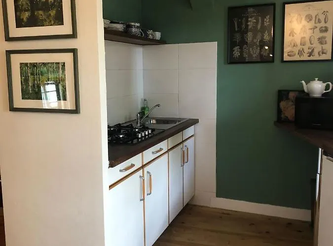 Jasmin 1 Jeanne D Albret *