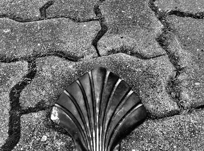 アパート Jasmin 1 Jeanne D Albret *